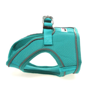 Doodlebone Teal Snappy Step In Dog Harness