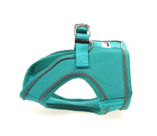 Doodlebone Teal Snappy Step In Dog Harness