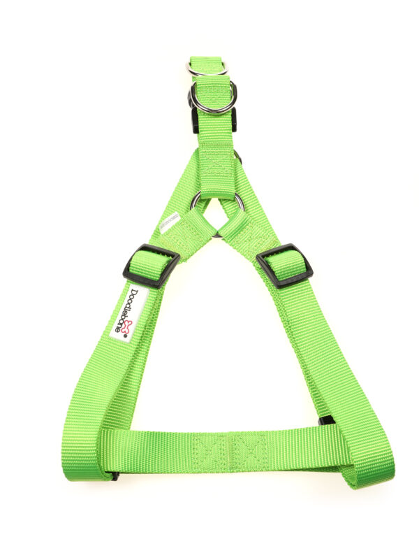 Doodlebone Apple Green Adjustable Strap Dog Harness