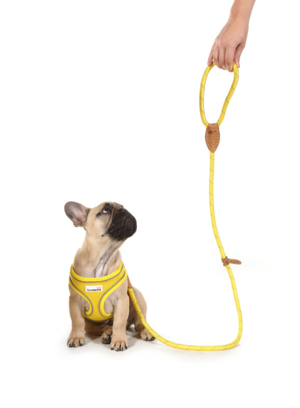 Yellow Doodlebone Snappy Step-In Dog Harness