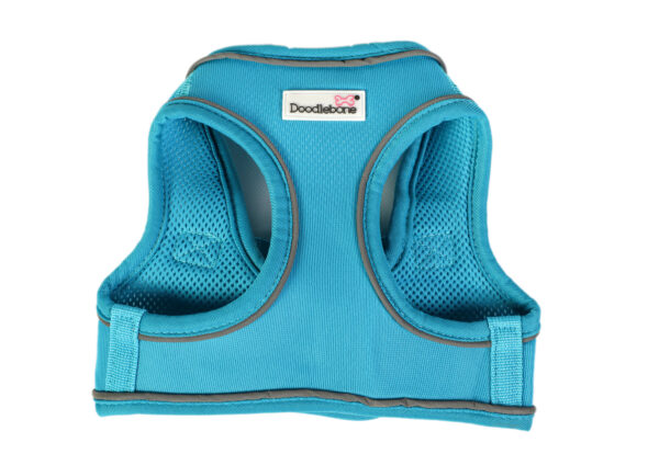 Doodlebone Aqua Blue Step In Snappy Dog Harness at The Lancashire Dog Company