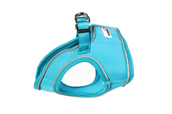 Doodlebone Aqua Blue Step In Snappy Dog Harness at The Lancashire Dog Company