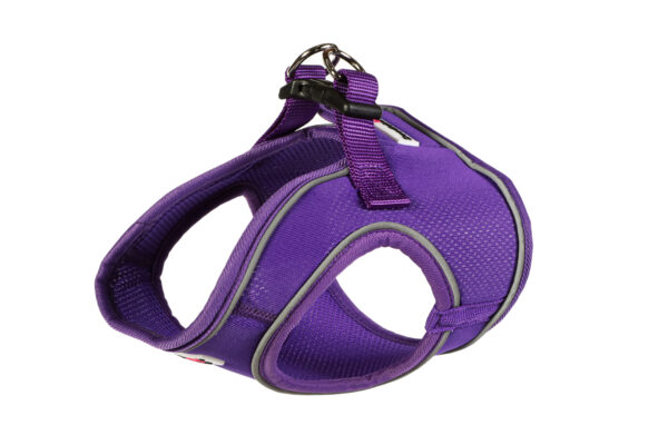 Doodlebone Purple Snappy Dog Harness at The Lancashire Dog Company