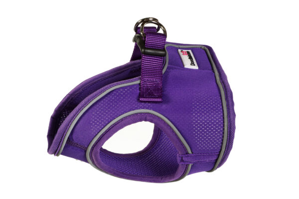 Doodlebone Purple Snappy Dog Harness at The Lancashire Dog Company