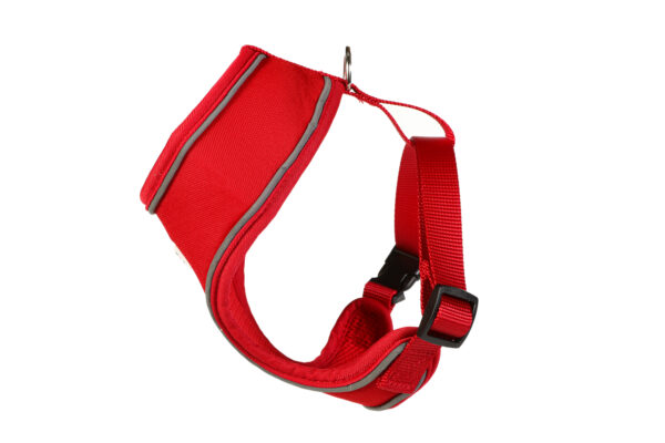Doodlebone Red Airmesh Dog Harness at The Lancashire Dog Company