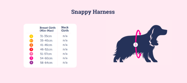 Doodlebone Snappy Size Guide