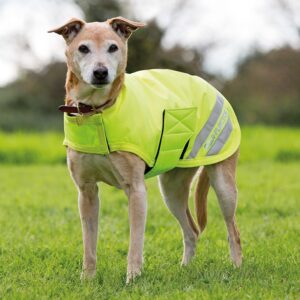 Digby & Fox Waterproof Equi-Flector Hi-Vis Dog Coat
