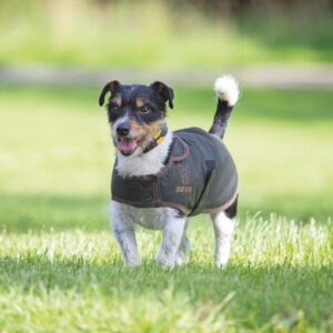 Digby & Fox Wax Dog Jacket