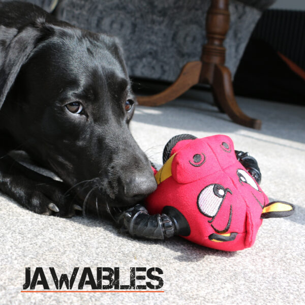 Ancol Jawables Bad Boys Tough Dog Toy