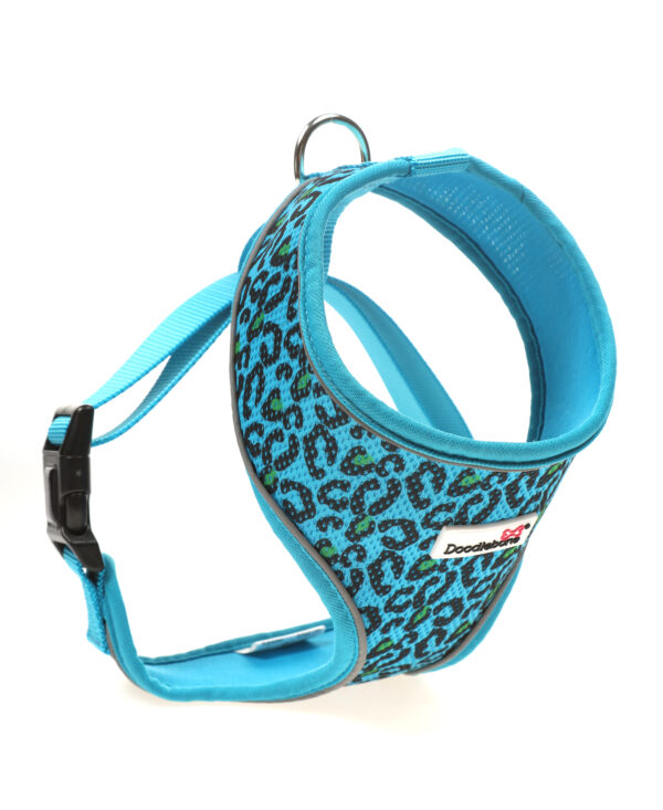 Doodlebone Night Leopard Blue Leopard Print Airmesh Dog Harness