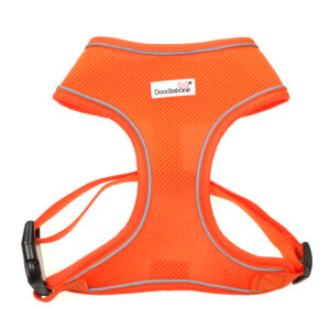 Doodlebone Orange Airmesh Dog Harness