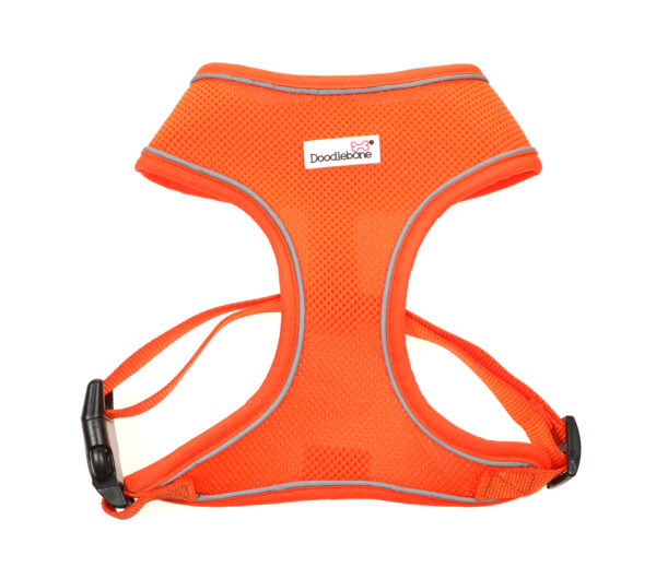 Doodlebone Orange Airmesh Dog Harness