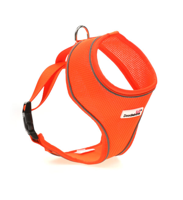 Doodlebone Orange Airmesh Dog Harness