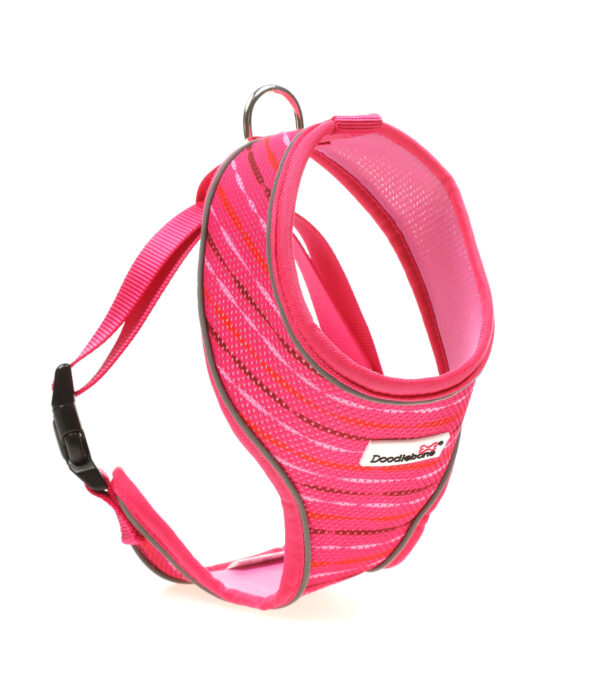 Doodlebone Pink Addiction Pink Stripe Airmesh Dog Harness