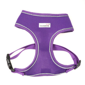 Purple Doodlebone Airmesh Dog Harness