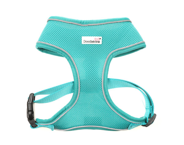 Doodlebone Teal Airmesh Dog Harness