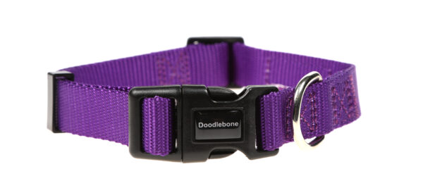 Doodlebone Originals Adjustable Purple Dog Collar