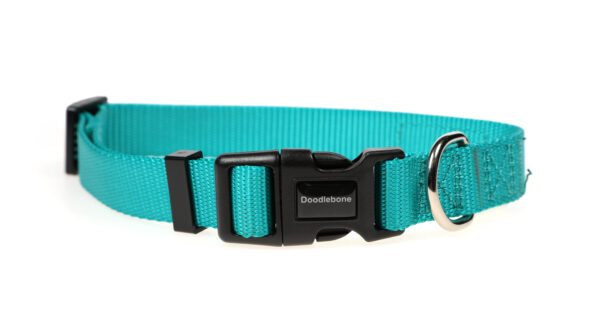 Doodlebone Originals Adjustable Teal Dog Collar