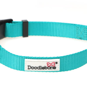 Doodlebone Originals Adjustable Teal Dog Collar