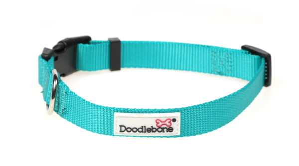 Doodlebone Originals Adjustable Teal Dog Collar