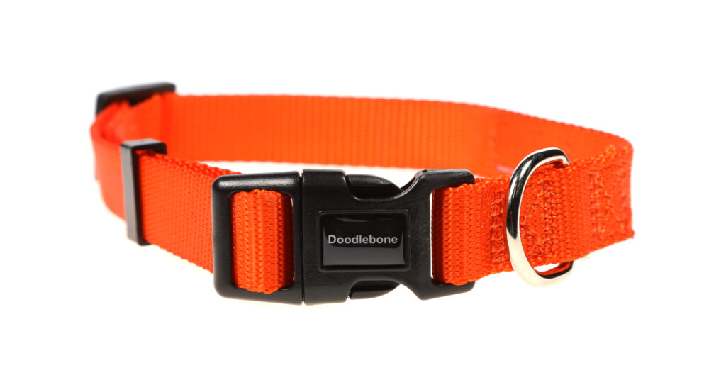 Los Mejores Collares De Perro Con GPS
