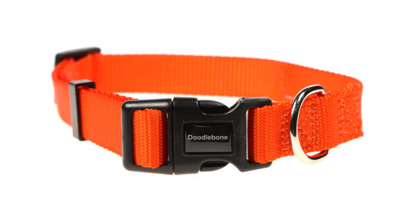 Doodlebone Originals Adjustable Orange Dog Collar