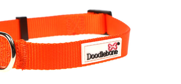 Doodlebone Originals Adjustable Orange Dog Collar