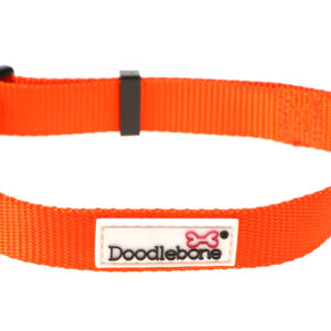 Doodlebone Originals Adjustable Orange Dog Collar