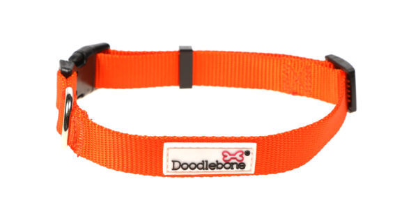 Doodlebone Originals Adjustable Orange Dog Collar