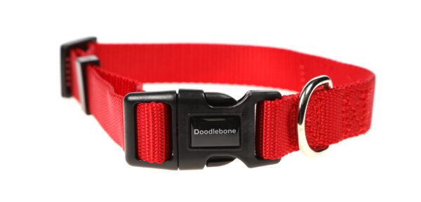 Doodlebone Originals Adjustable Red Dog Collar