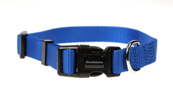 Doodlebone Originals Adjustable Royal Blue Dog Collar