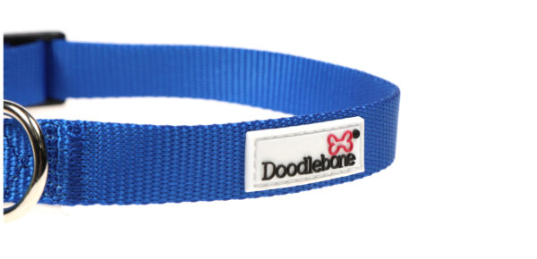 Doodlebone Originals Adjustable Royal Blue Dog Collar