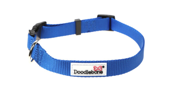 Doodlebone Originals Adjustable Royal Blue Dog Collar