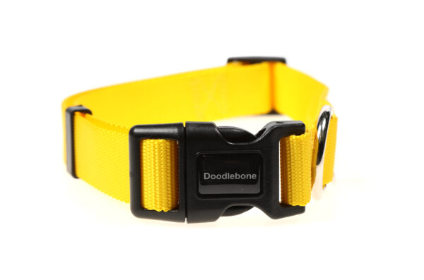 Doodlebone Originals Adjustable Yellow Dog Collar