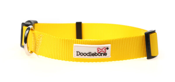 Doodlebone Originals Adjustable Yellow Dog Collar