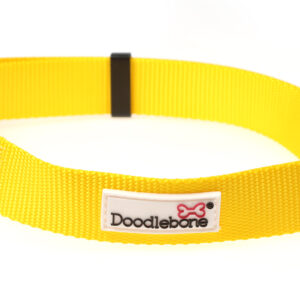 Doodlebone Originals Adjustable Yellow Dog Collar