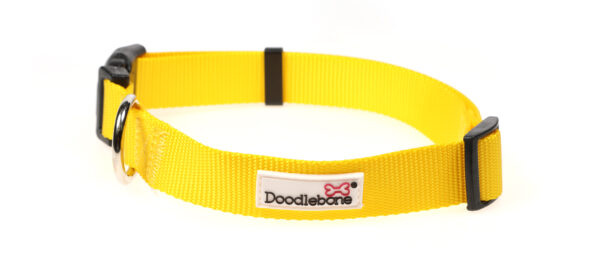 Doodlebone Originals Adjustable Yellow Dog Collar