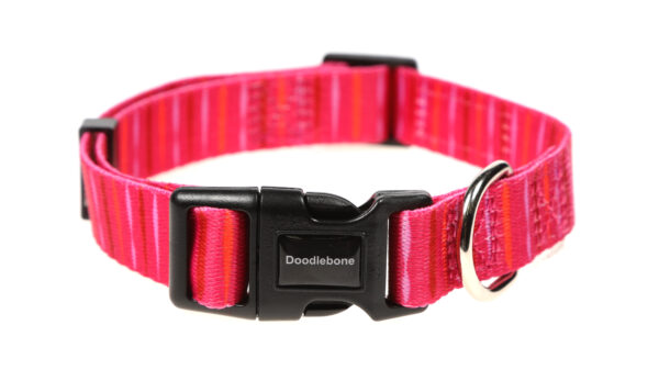 Doodlebone Originals Patterned Adjustable Pink Addiction Pink Stripe Dog Collar