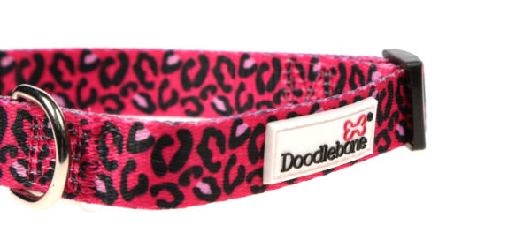 Doodlebone Originals Patterned Adjustable Bright Leopard Pink Leopard Print Dog Collar