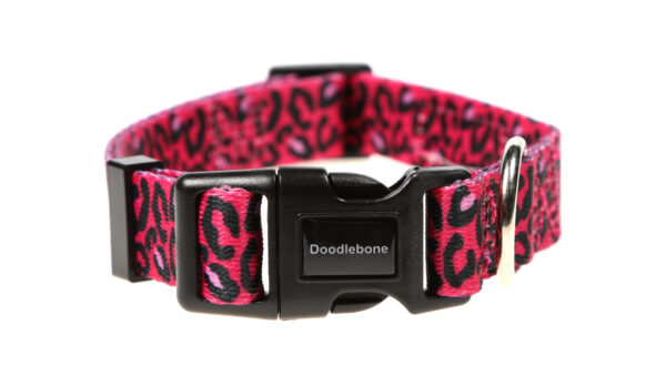 Doodlebone Originals Patterned Adjustable Bright Leopard Pink Leopard Print Dog Collar