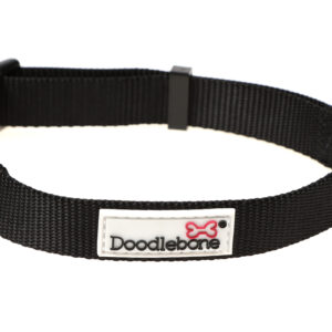 Doodlebone Black Adjustable Dog Collar at The Lancashire Dog Company