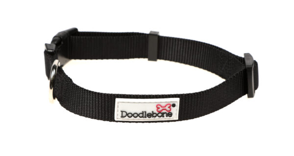 Doodlebone Black Adjustable Dog Collar at The Lancashire Dog Company