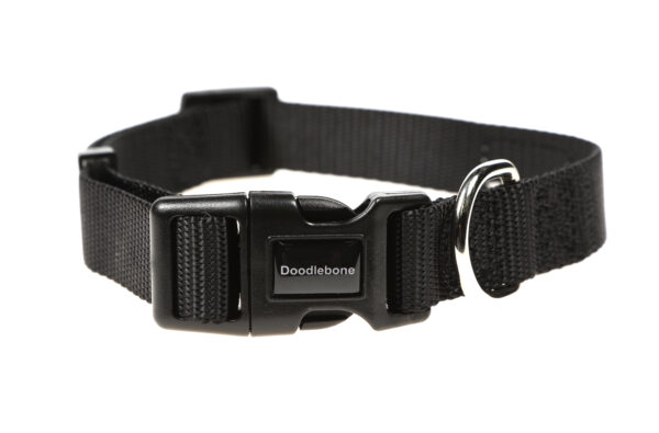 Doodlebone Black Adjustable Dog Collar at The Lancashire Dog Company