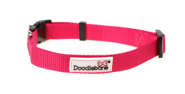 Doodlebone Adjustable Bright Pink Dog Collar at The Lancashire Dog Company