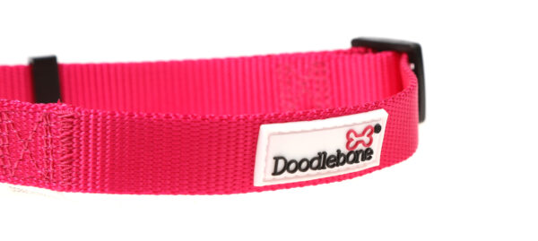 Doodlebone Adjustable Bright Pink Dog Collar at The Lancashire Dog Company