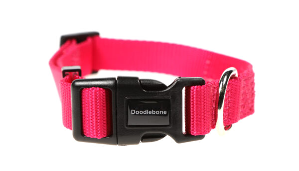 Doodlebone Adjustable Bright Pink Dog Collar at The Lancashire Dog Company