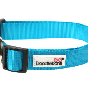 Doodlebone Originals Adjustable Aqua Blue Dog Collar