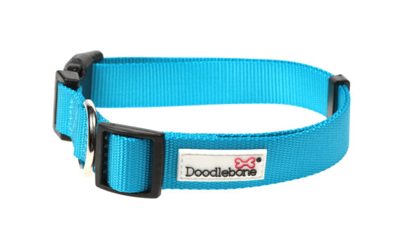 Doodlebone Originals Adjustable Aqua Blue Dog Collar