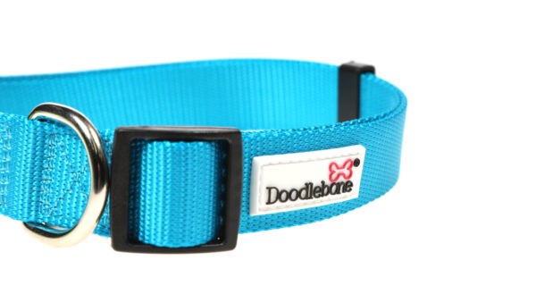 Doodlebone Originals Adjustable Aqua Blue Dog Collar