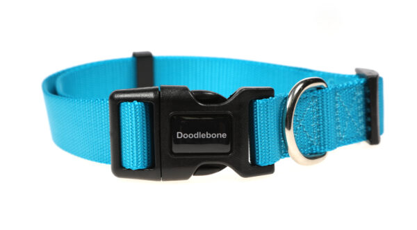 Doodlebone Originals Adjustable Aqua Blue Dog Collar